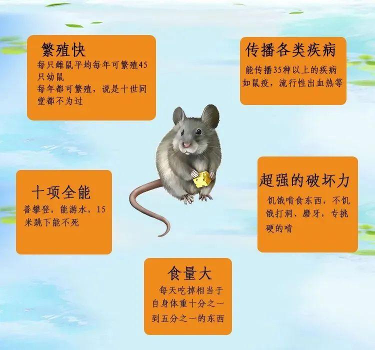 环卫服务 第427页