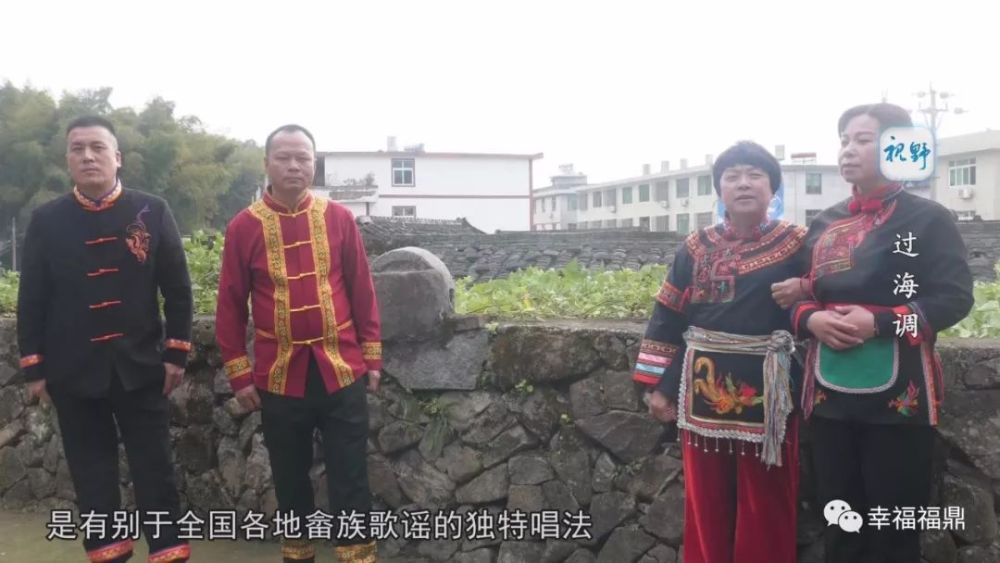 福鼎最新歌曲,时代旋律的璀璨绽放