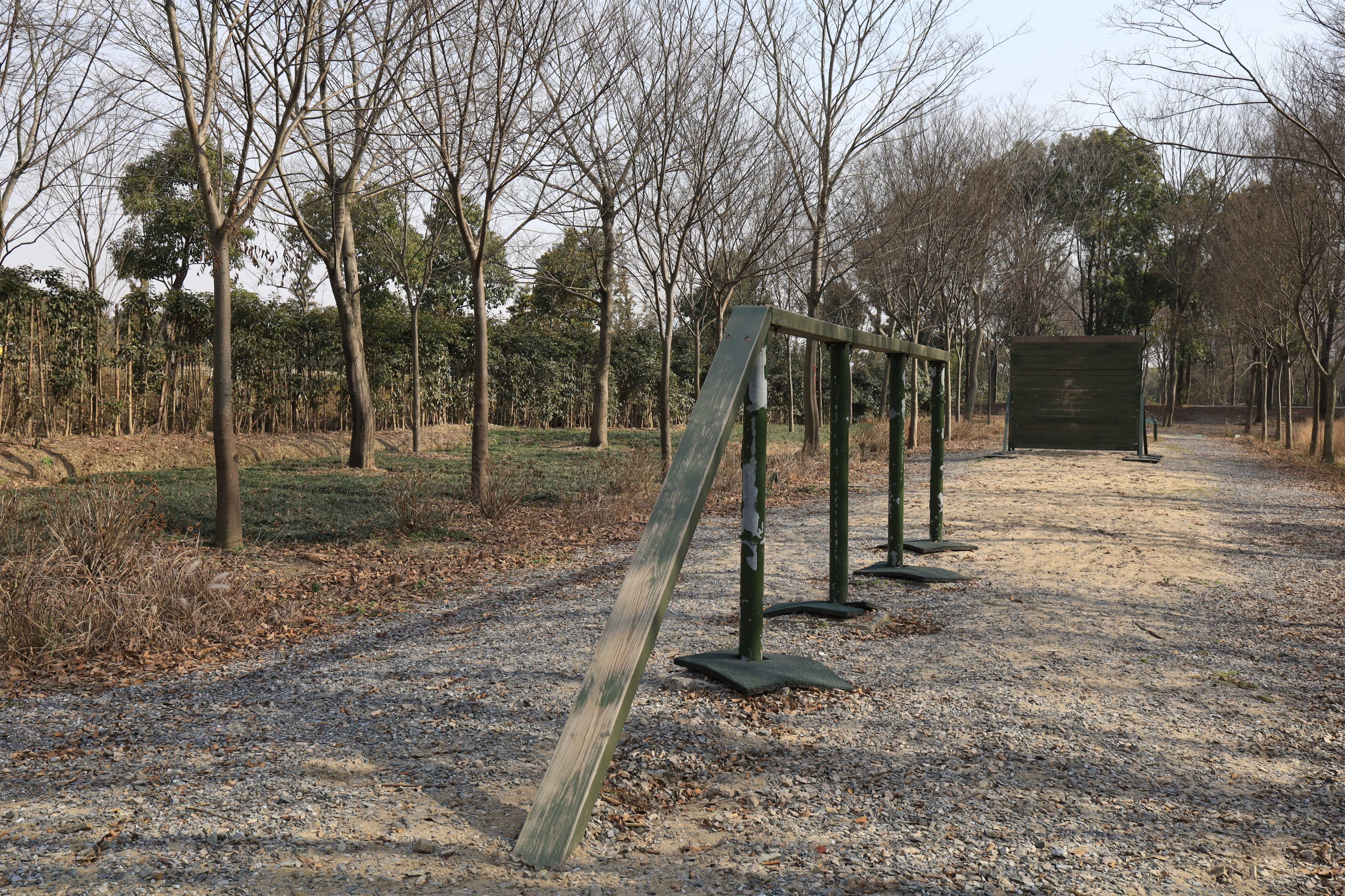 训练场最新,训练场最新，小巷中的秘密特色小店