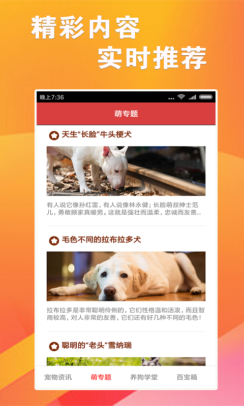 7777788888精准跑狗图,专业调查具体解析_文化传承版63.201