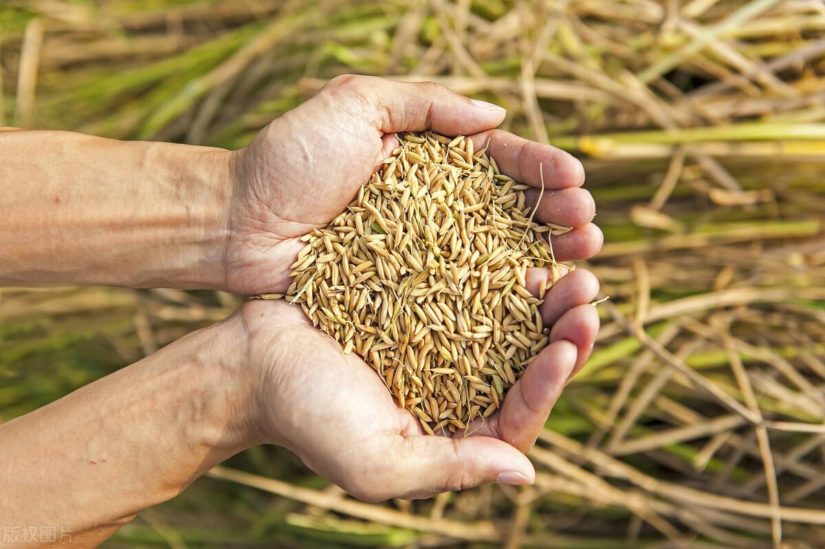 市场行情最新,市场行情最新的一天，阳光明媚，主人公小明的日常生活也因此变得格外有趣和充满活力。