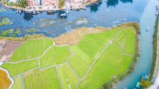 靖西最新地图解读与观点阐述