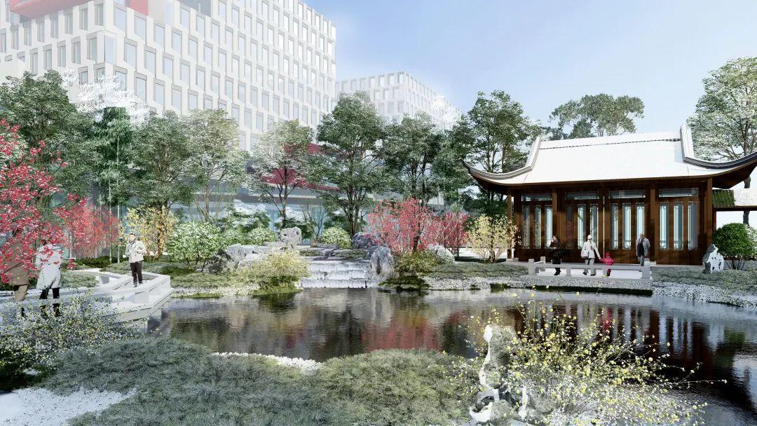 南京最新动向，自然美景探索之旅