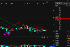 拓尔思引领信息科技前沿,塑造数字化未来最新动态