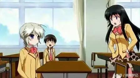 女皇动漫,日常小美好的温馨之旅