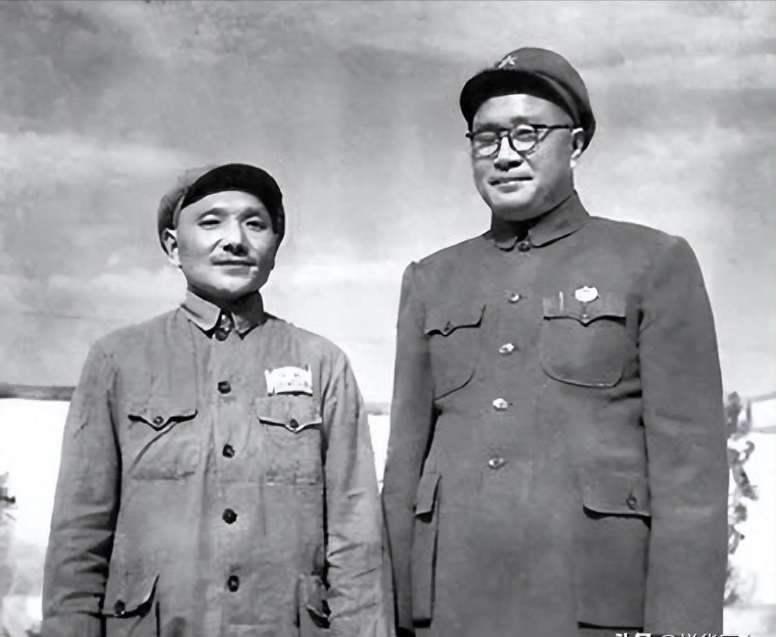 纯暖情感新篇章，培养与表达深挚情感的指南