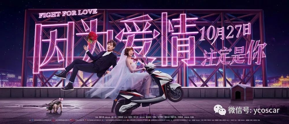 小花电影免费观看，自然美景的探索之旅