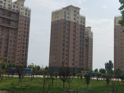 健泰安居花园，时代印记与社区成长的最新资讯