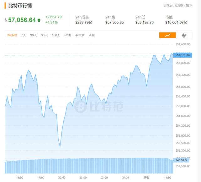 波场最新行情及深度分析