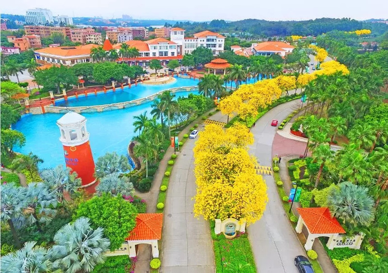 丹灶祈福南湾房价动态揭秘，小巷中的隐藏宝藏，房价走势一览无余！