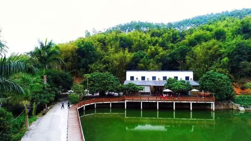 河源江东古竹最新动态更新