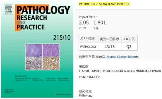 最新病理进展探索与温馨探病之旅