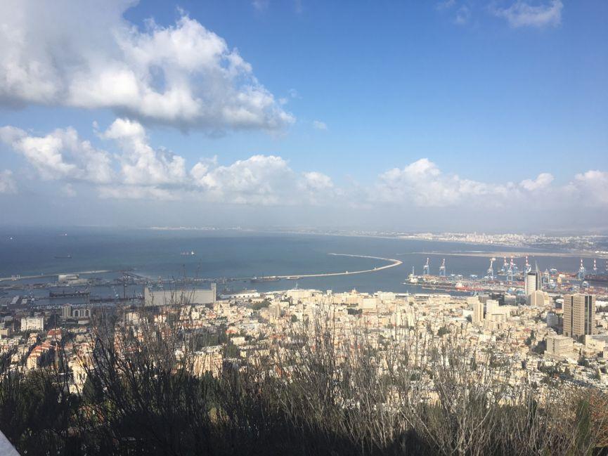 阜南楼市动态，购房投资全攻略揭秘！