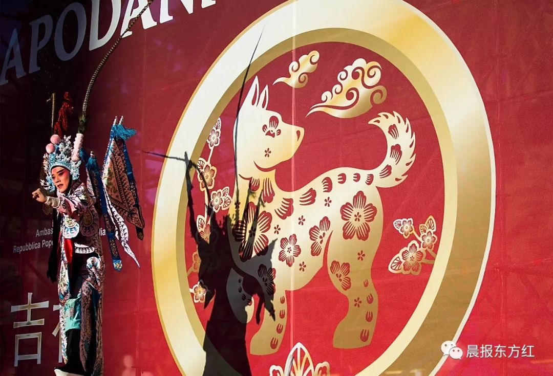 罗马宝贝演员表——自然美景探索之旅的星光阵容