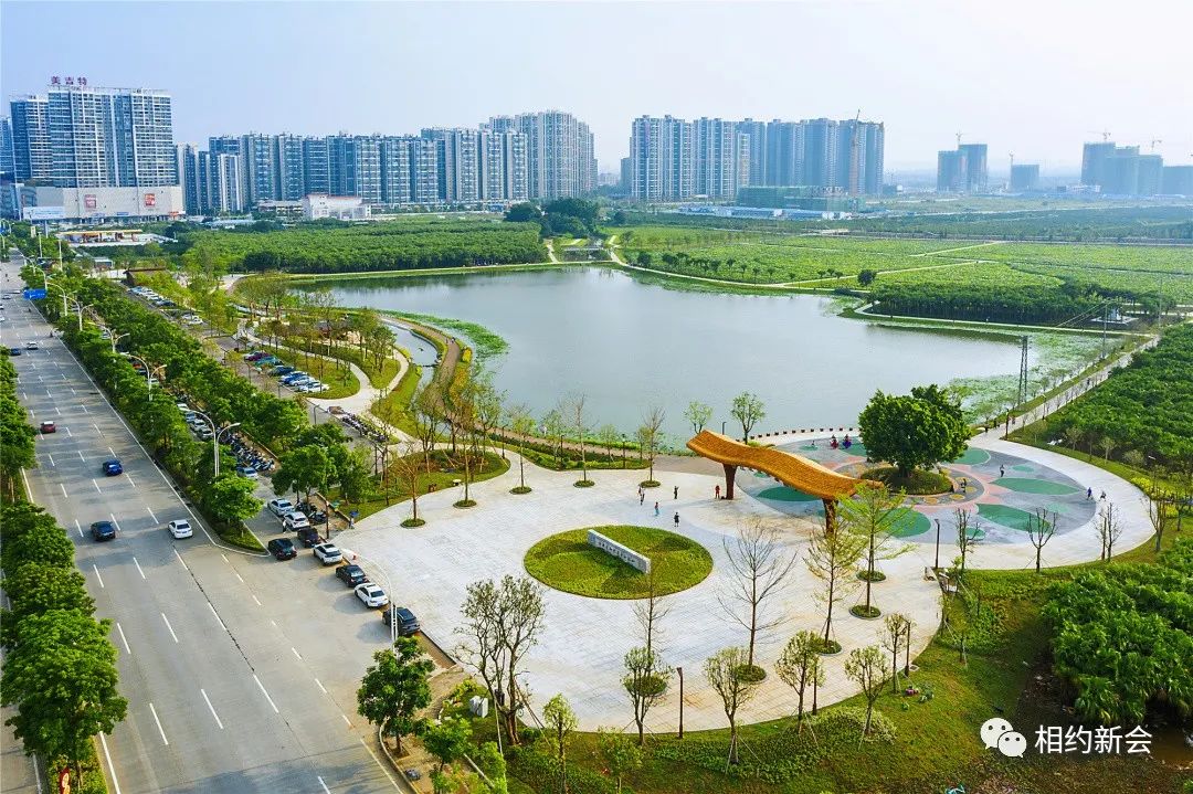 新会最新发展，高科技产品的革新之旅