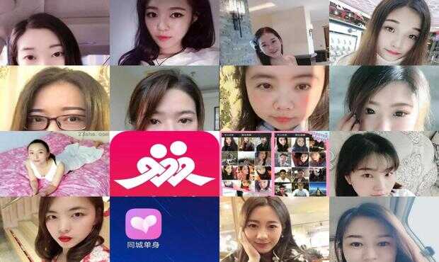 园林绿化 第153页