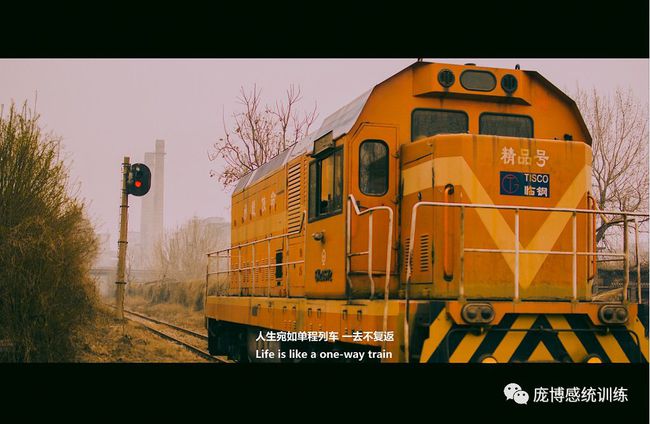 临钢最新动态更新