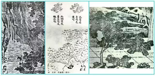 揭秘微杏app最新破解版，不可错过的应用体验！