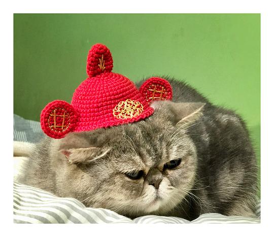 懒猫科技最新官方源,多维度视角下的观点阐述解析