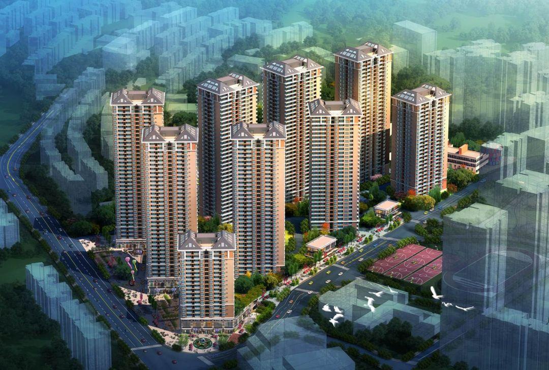 🌟金马腾苑最新动态🌟