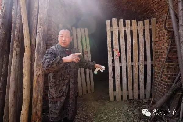 邯郸北响堂寺最新动态揭秘🌟