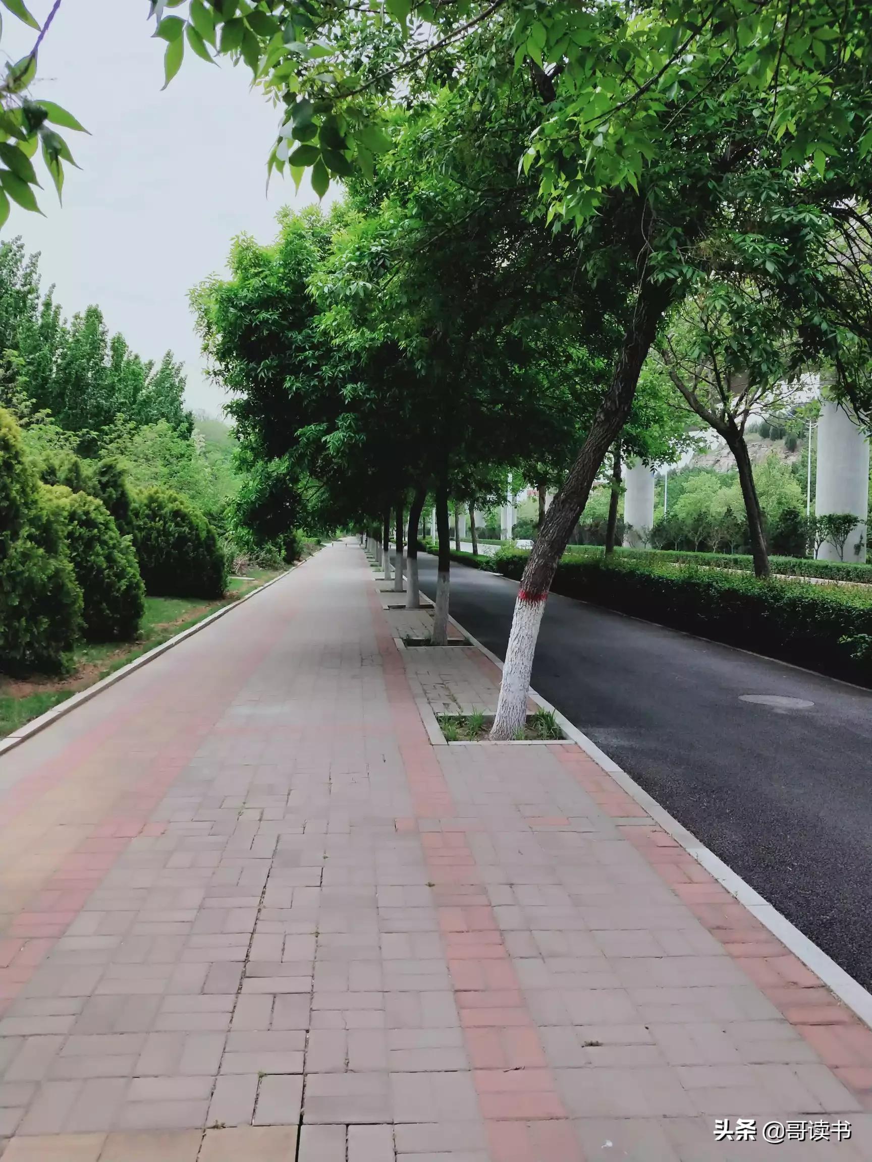 长清园博园最新招聘启事