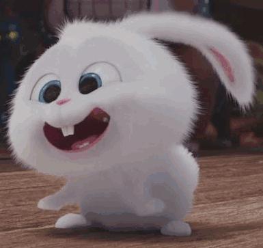 最新爱宠,高科技产品介绍与体验