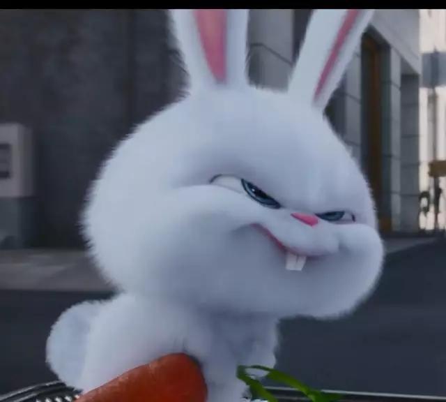 最新爱宠,高科技产品介绍与体验