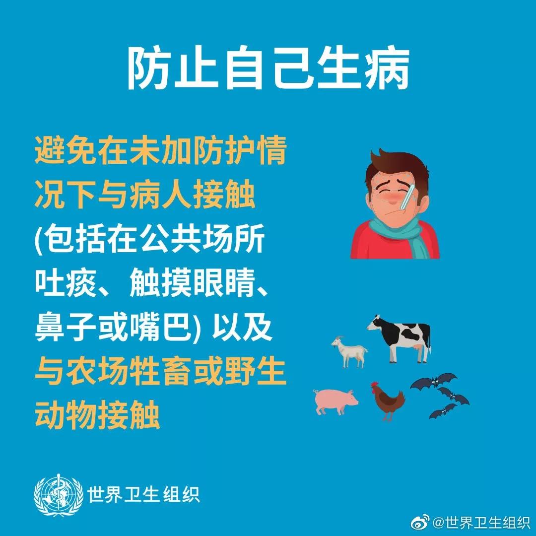 冠状最新通报,科技革新引领智能守护者全新升级