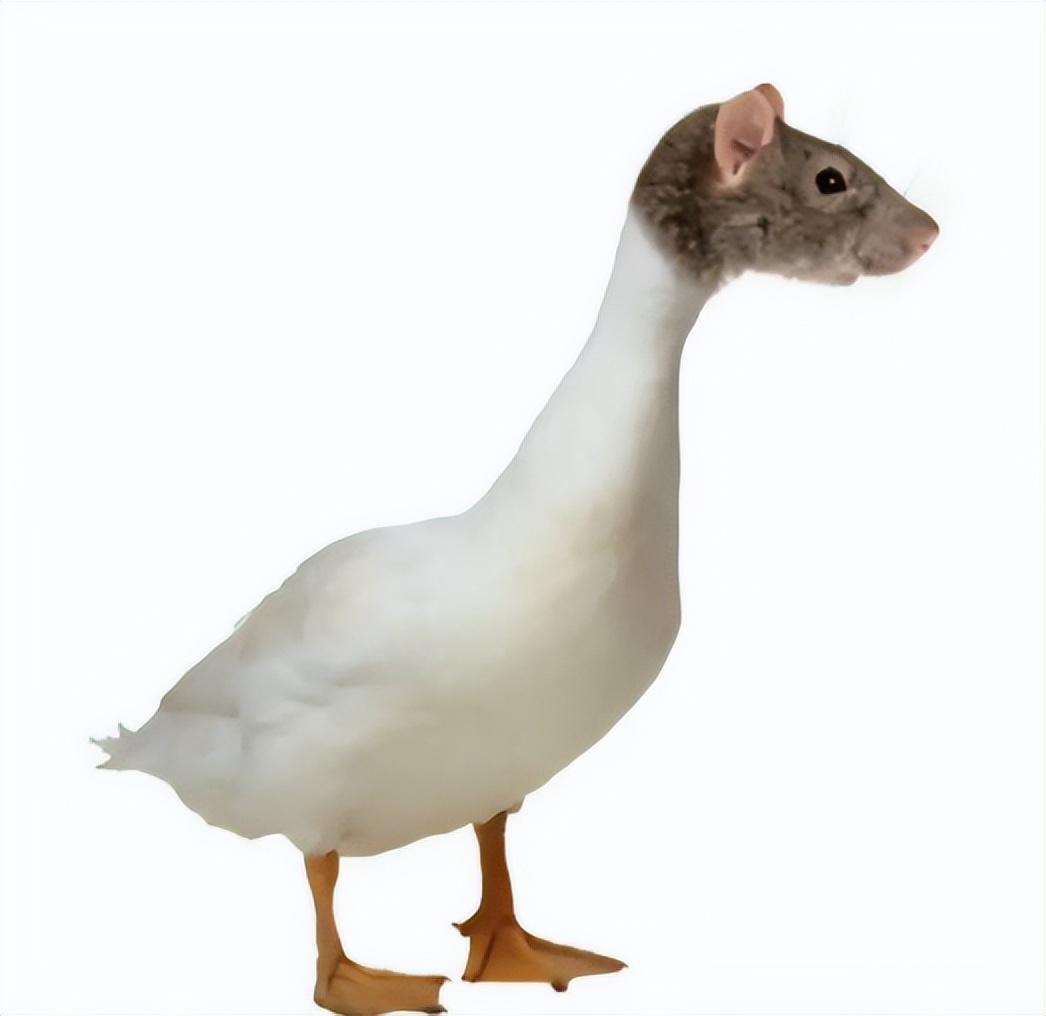 探索前沿科技趋势,未来创新引领时代风潮