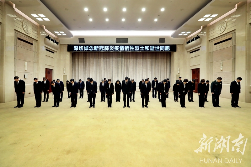 湖南最新冠,绽放无限魅力与活力的地方风采