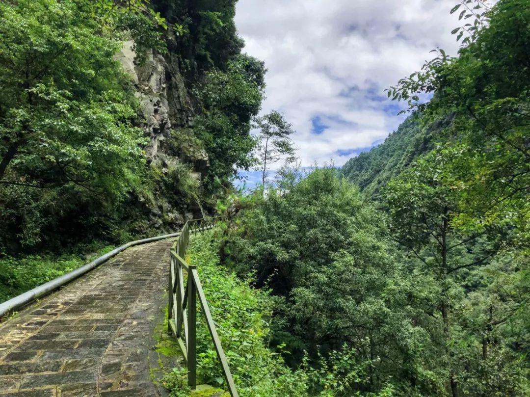 苍山最新攻略，爱与陪伴的探险之旅