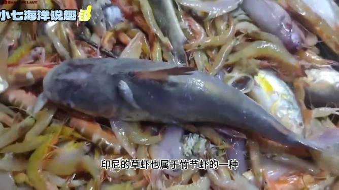 环卫服务 第13页