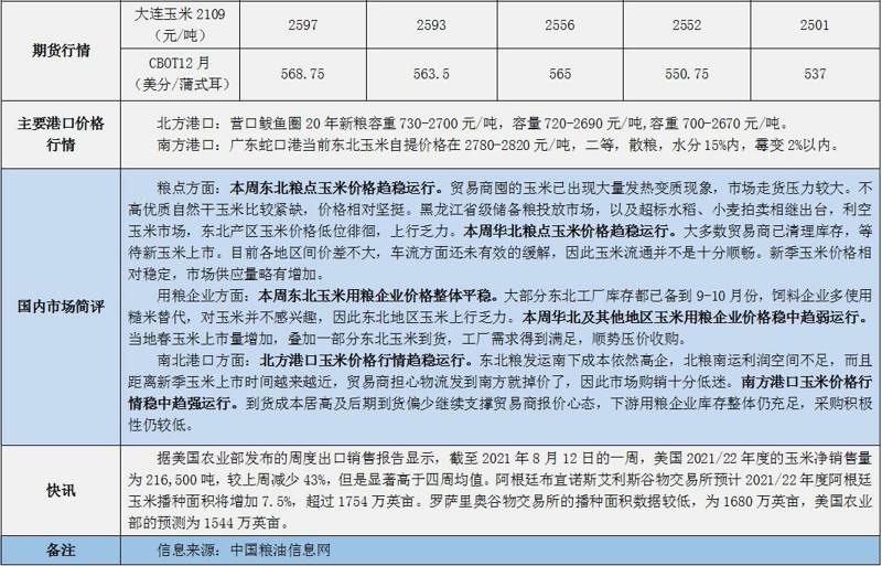 玉米大豆最新动态,农业领域的瞩目焦点