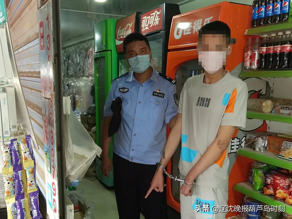 绥中网最新招聘信息发布与观点论述解读