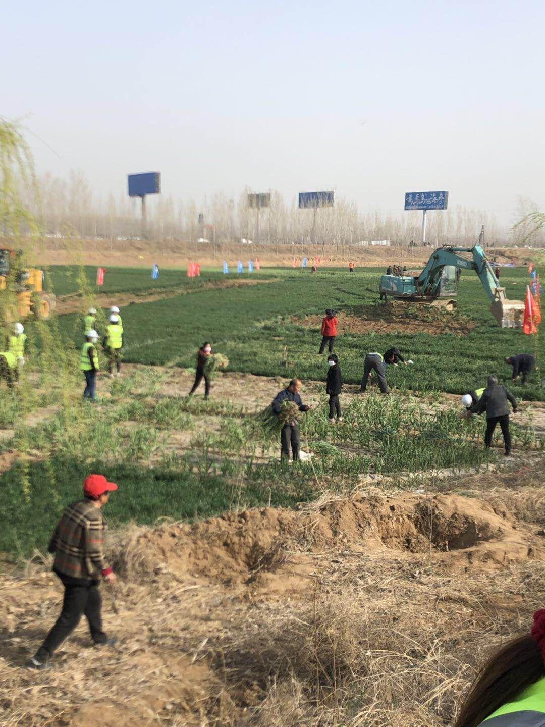 雄商高铁最新动态与小巷风情小店揭秘