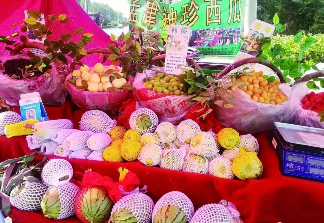 洛阳地图最新高清版,探索之旅与自我成长的启示地图指南