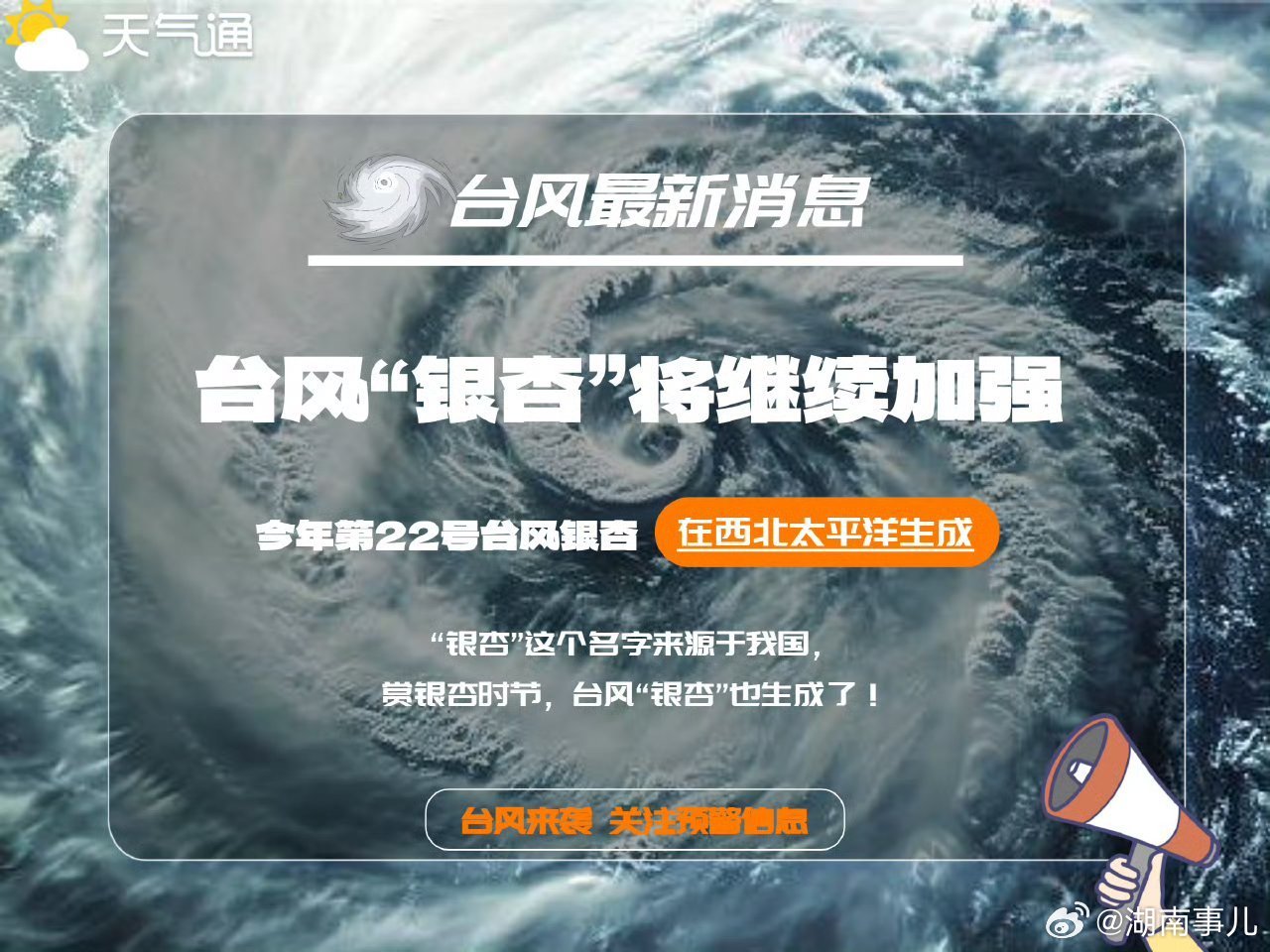 台风带来的交响曲，挑战、机遇与成长的并行之路